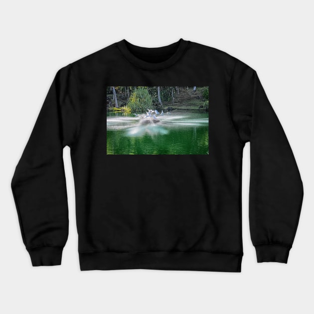 Fountain at Na 'Aina Kai Botanical Gardens & Sculpture Park Crewneck Sweatshirt by Imagery